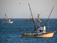 Salmon Fishing in Bodega Bay