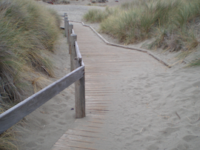 Walking in Sonoma County…mostly – Bodega Dunes