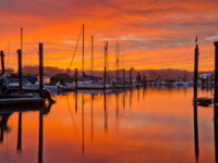 Bodega Bay Sunset