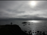 More Fog North of Bodega Bay
