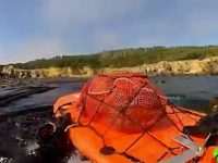 Freediving for Abalone