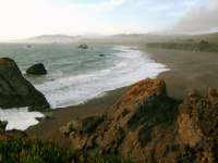 Wright’s Beach Cleanup