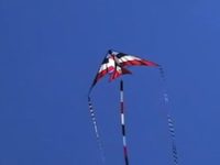 “Romancing The Wind” – Ray Bethell