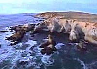 How About A Helicopter Ride Around Bodega Bay?