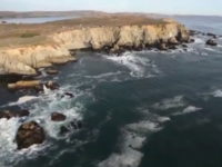A Year on the Sonoma Coast: 2012