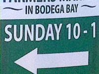Bodega Bay Community Farmers Market ~ Memorial Day Sunday thru October
