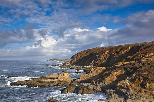 BodegaHeadLookingNorth