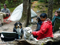 Camping for the DOGS!