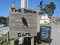 The Birds Cafe in Bodega Bay review by Melanie Wong