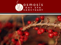 Something from Osmosis this holiday season