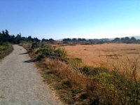 Bird Walk Coastal Access Trail