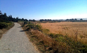 BirdWalk trail large