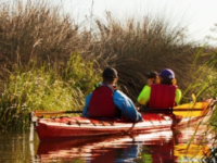 Bodega Bay Tandem Kayaking Tour
