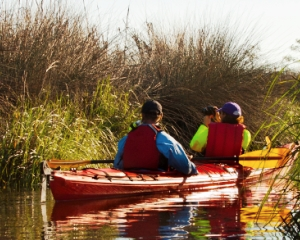 Kayak
