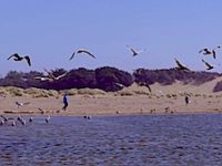 LET’S TAKE A WALK – BODEGA BAY – CALIFORNIA