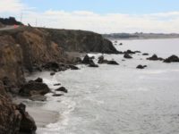 Exploring Bodega Bay on California’s Rugged Coast