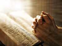 FINDING CRABS | FINDING SEAL | Bodega Bay, CA | 3-30-13