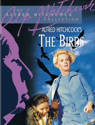 the-birds-rental