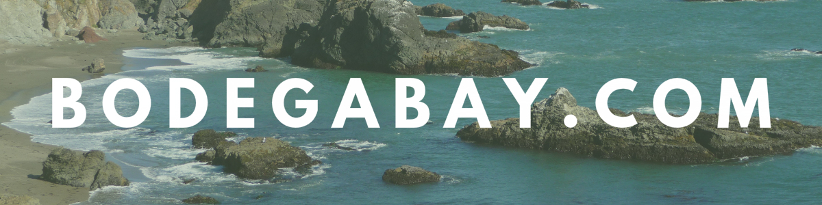 The Official Bodega Bay Area Website
