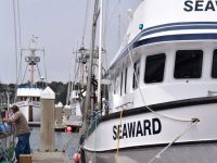 Salmon season flops: Drought years cut North Coast salmon population