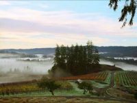 Winemakers relish in the Sonoma Coast