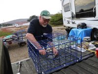Dungeness crab season opens for sport fishermen