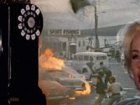 10 Fascinating Facts About The Birds