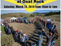 B-Rad Annual Beach Cleanup at Goat Rock – March 10th