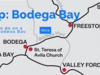 Road Trip: Bodega Bay