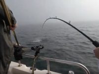 Salmon season reopens May 18