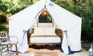Bodega Bay Camping