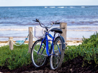Bodega Bay Bike Rides