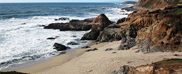 Bodega Bay Beaches