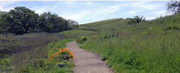 Crane Creek Regional Park