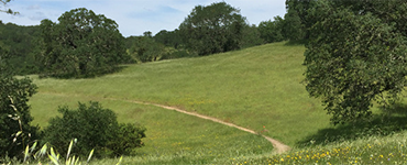Foothill Regional Park