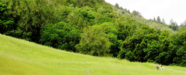 Hood Mountain Regional Park