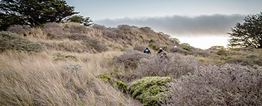 Pomo Canyon And Willow Creek Environmental Campgrounds At Sonoma Coast State Beach