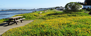 Westside Regional Park