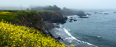 Wright's Beach Campground At Sonoma Coast State Beach