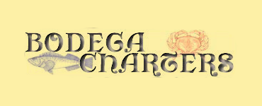 Bodega Charters