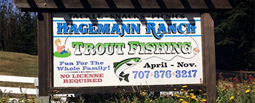 Hagemann Ranch Trout Farm