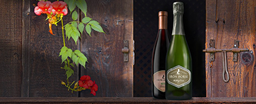 Iron Horse Ranch And Vineyards