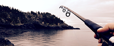 Reports From USA Fishing