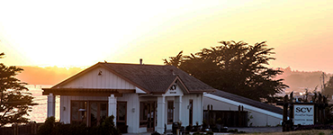 Sonoma Coast Vineyards