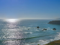 What’s Open and What’s Not