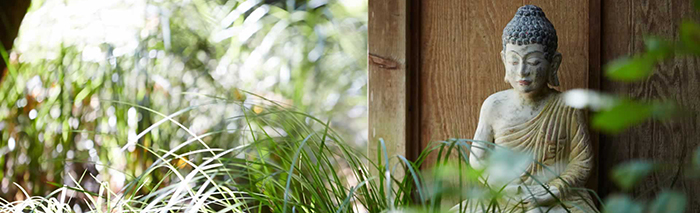 Osmosis Day Spa Sanctuary